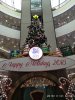 IMG_20181121_113546.jpg